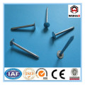 Hot-selling polished common nails/roofing nails/flat head nails